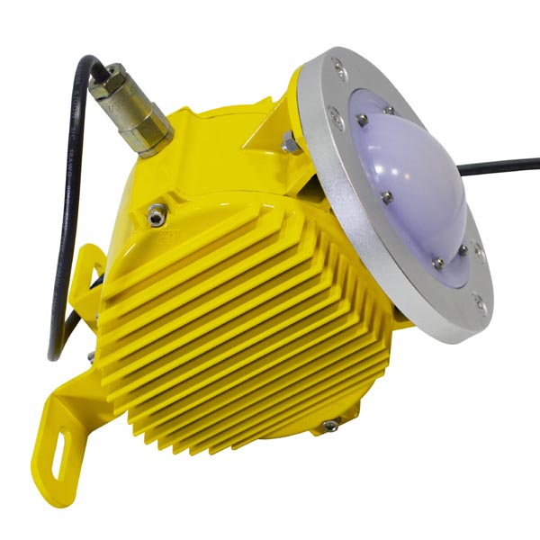 DL611 explosion proof light